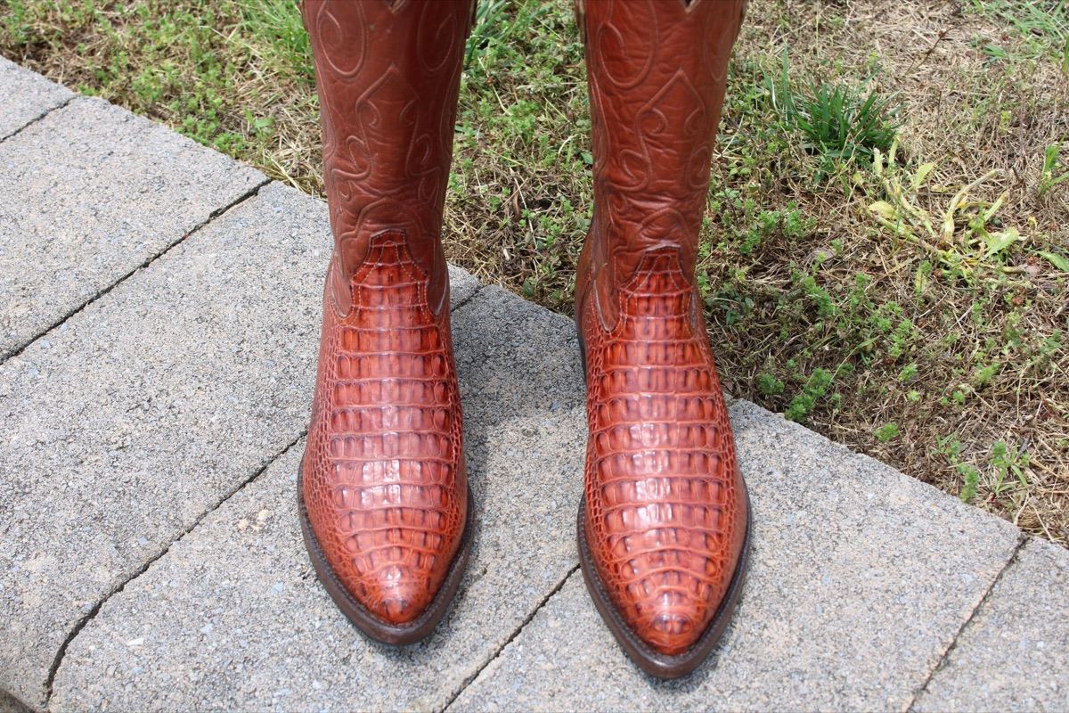 Cognac Hornback Caiman