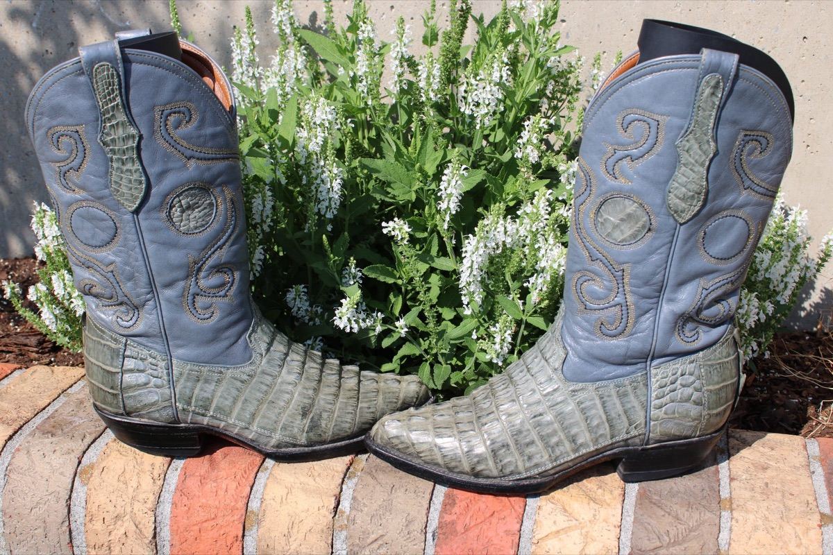 Unknown Caiman Snip Size 4