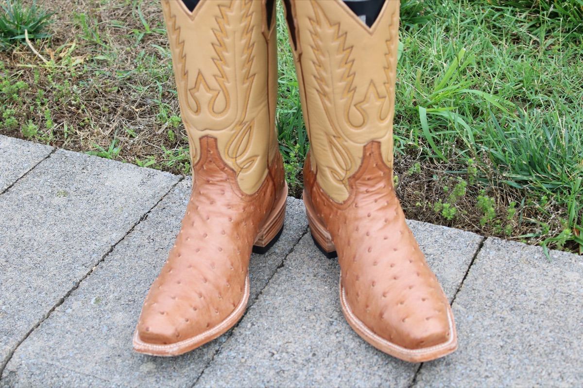 6 Santana's Mocha Ostrich 9.5 D