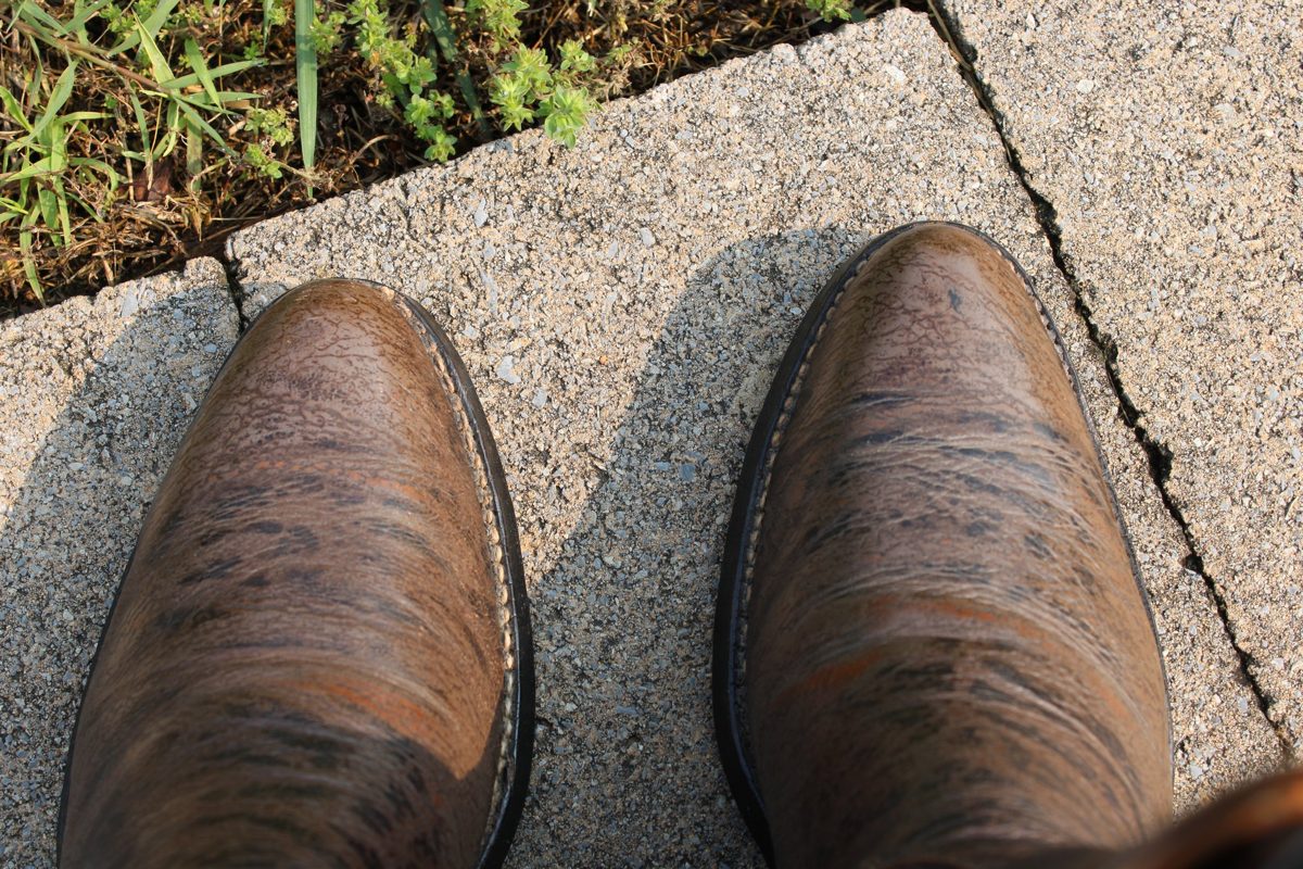 Walrus Grain 9 D