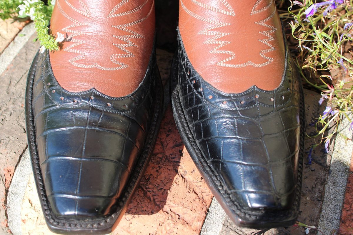 Caboots Gator Wingtip 490
