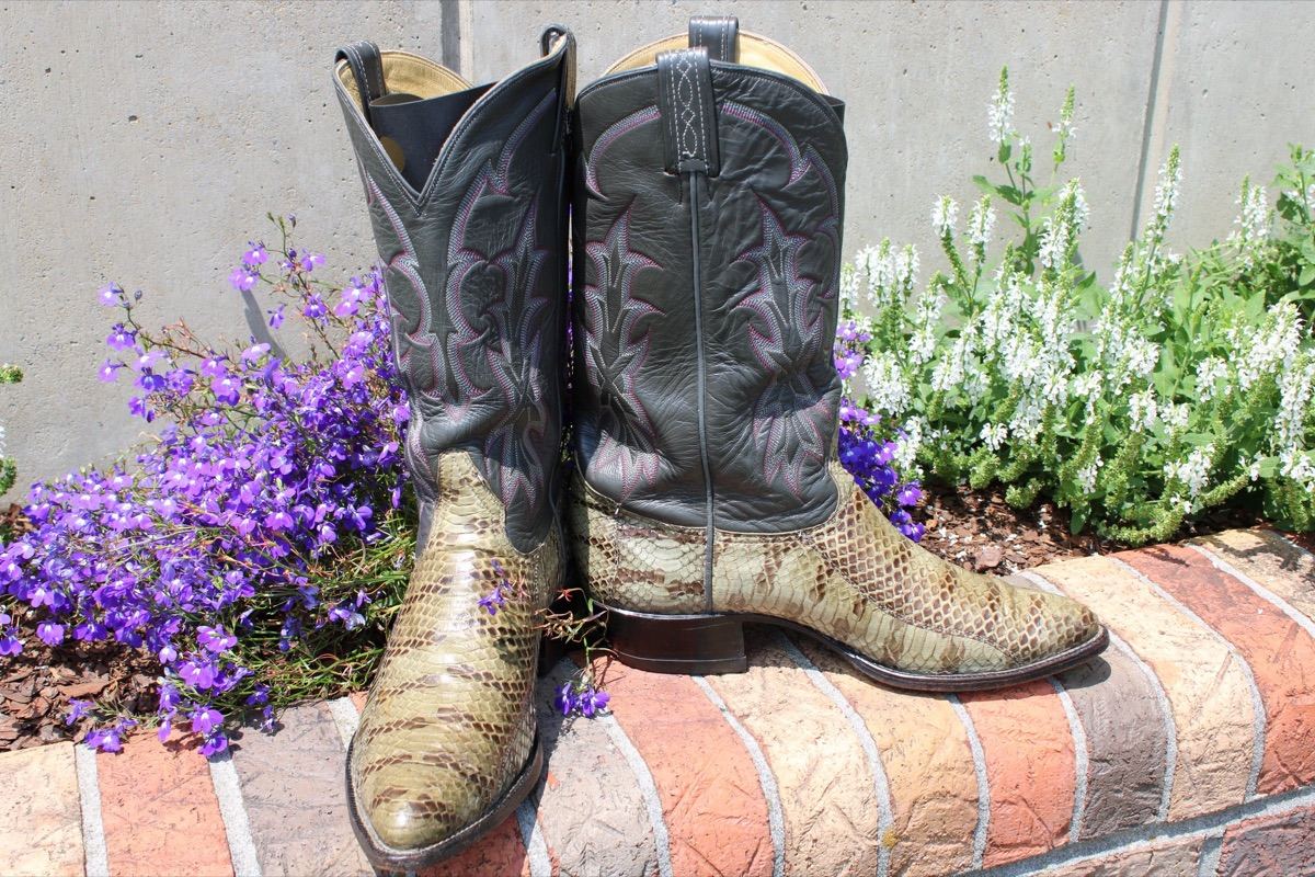 Tony Lama Snakeskin 10.5 D