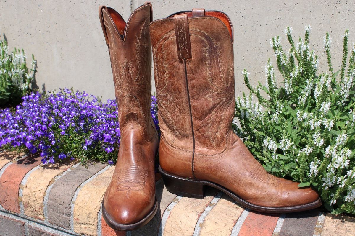 Lucchese 1883 Goat 12 D