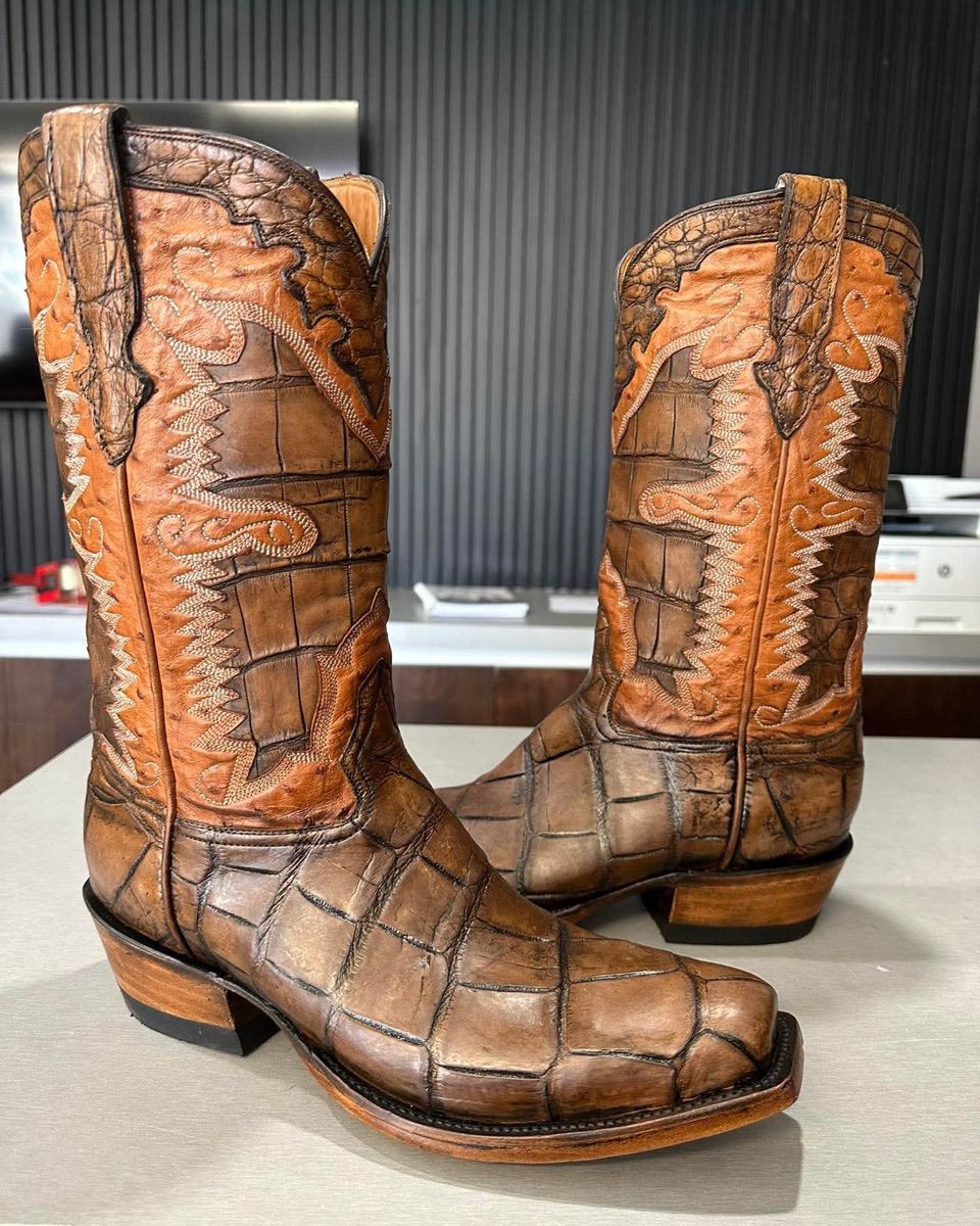 American Alligator / Belly / Acosta Instagram