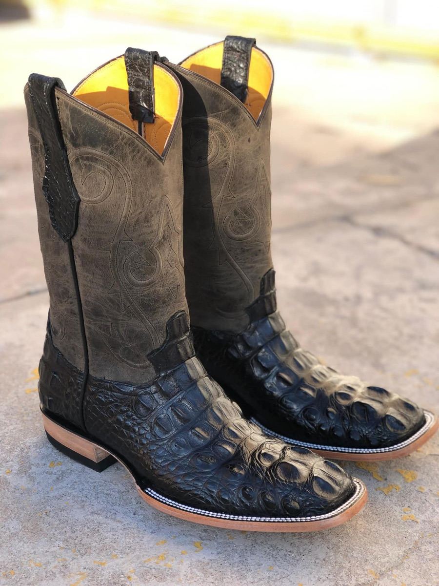 American Alligator / Headcut / Messenger: Santana's Boots