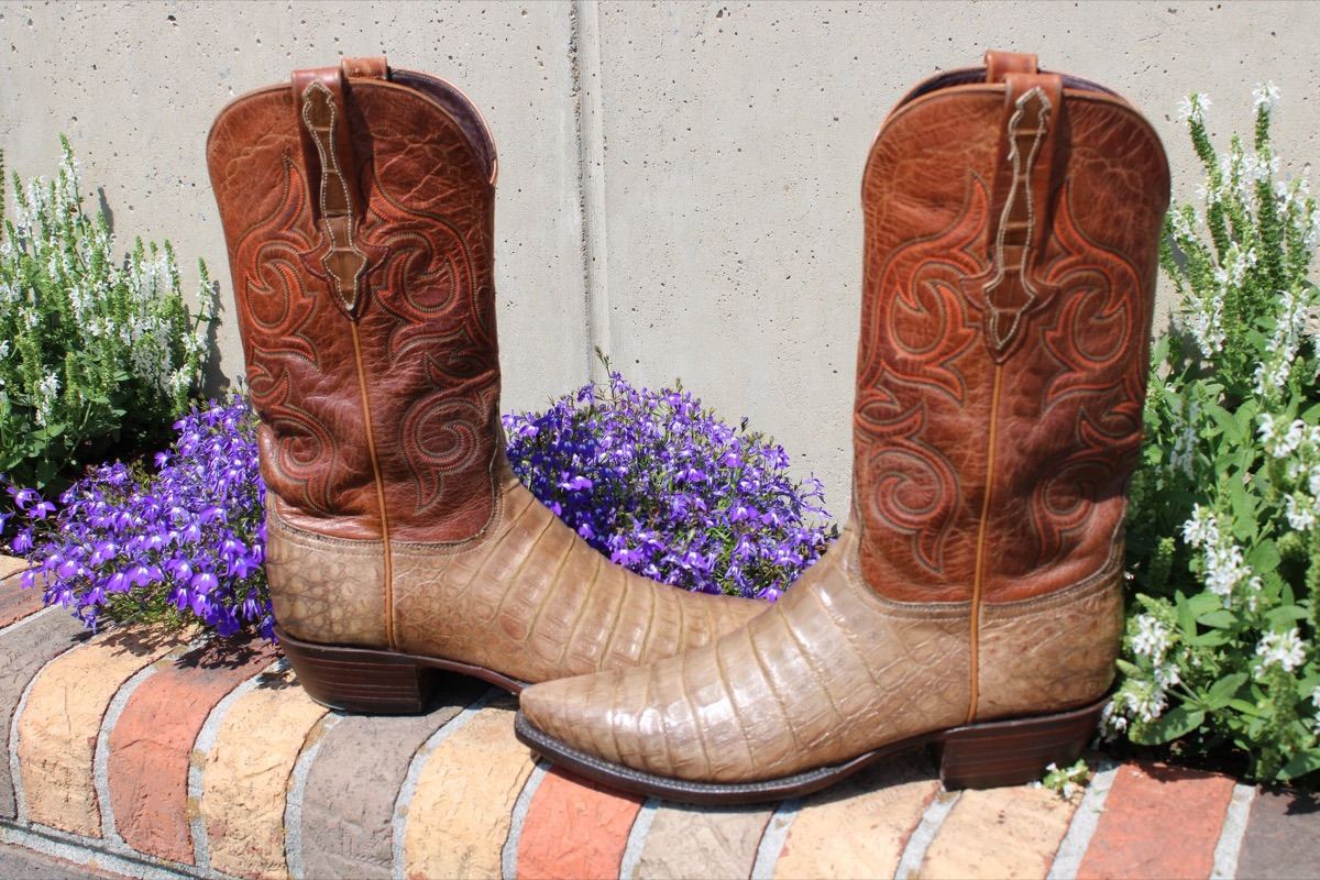 Lucchese Caiman Snip 9 D