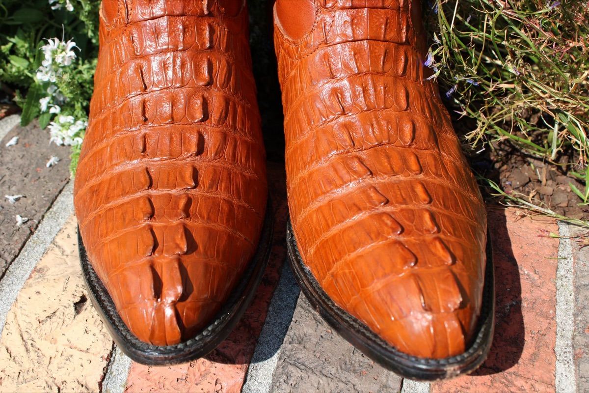 LE VER Cognac Caiman 495