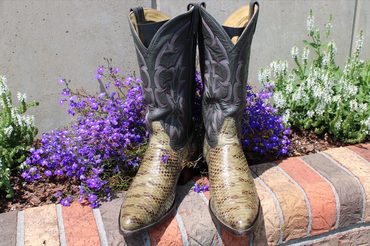 Tony Lama Snakeskin 10.5 D