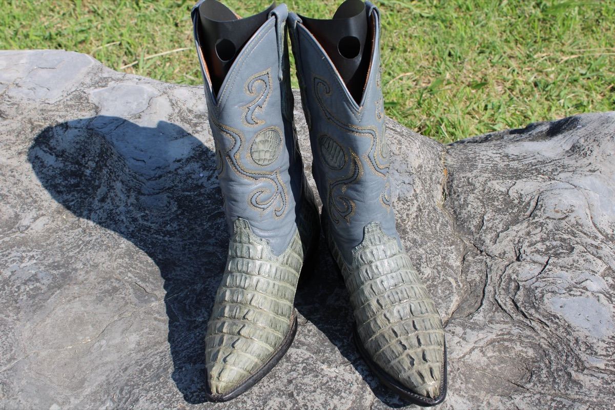 Unknown Caiman Snip Size 4