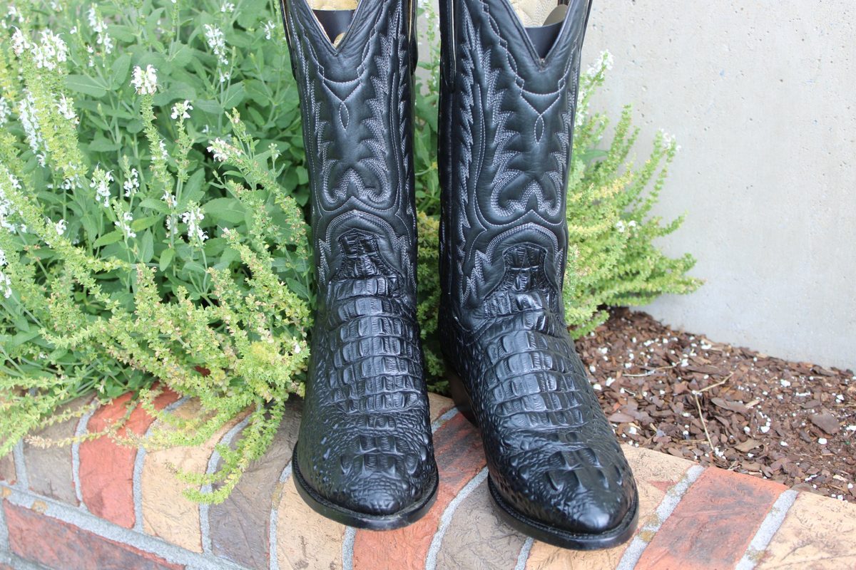 Dan Post Black Alligator Print 695