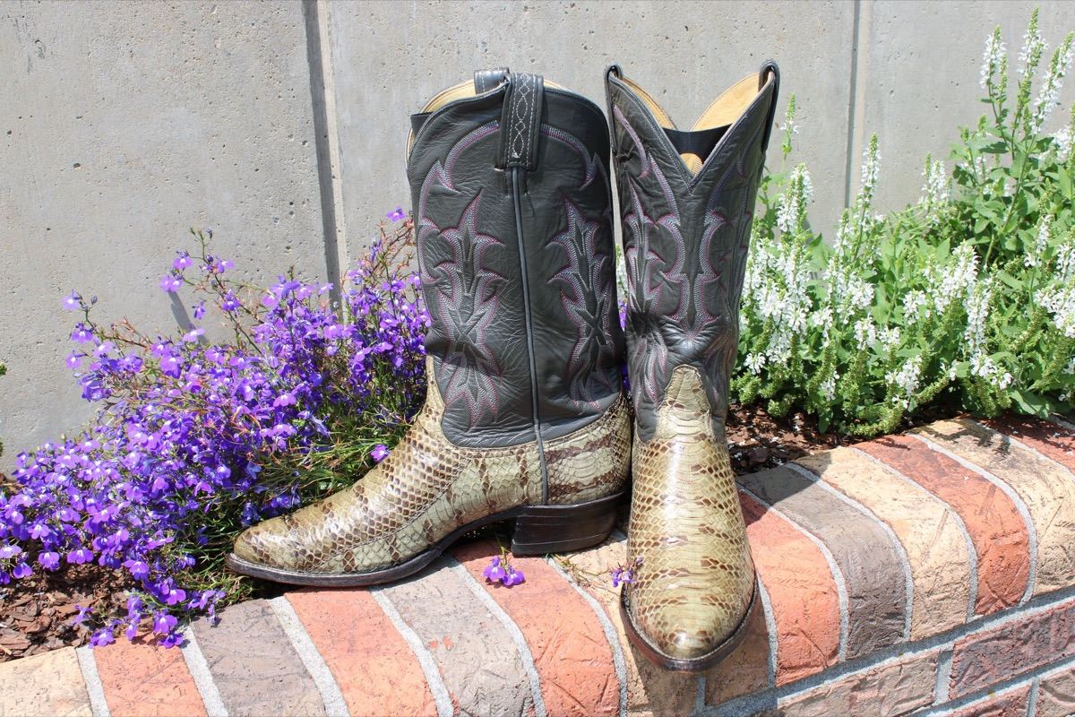 Tony Lama Snakeskin 10.5 D