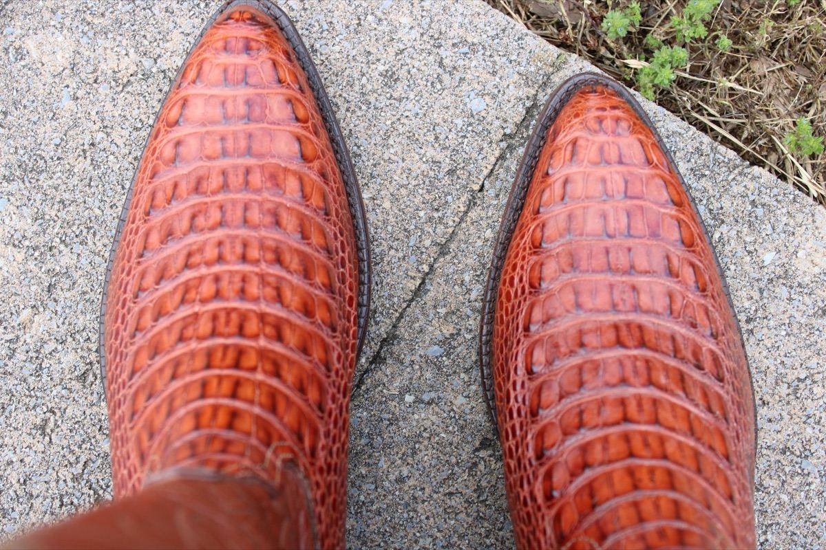 Cognac Hornback Caiman
