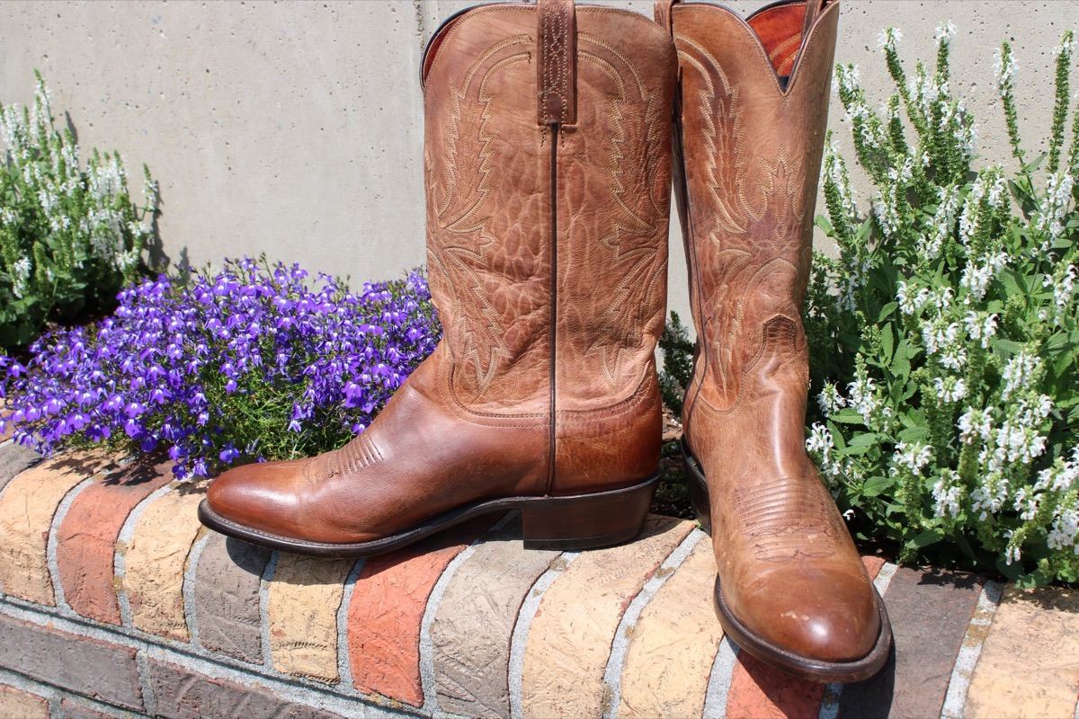 Lucchese 1883 Goat 12 D