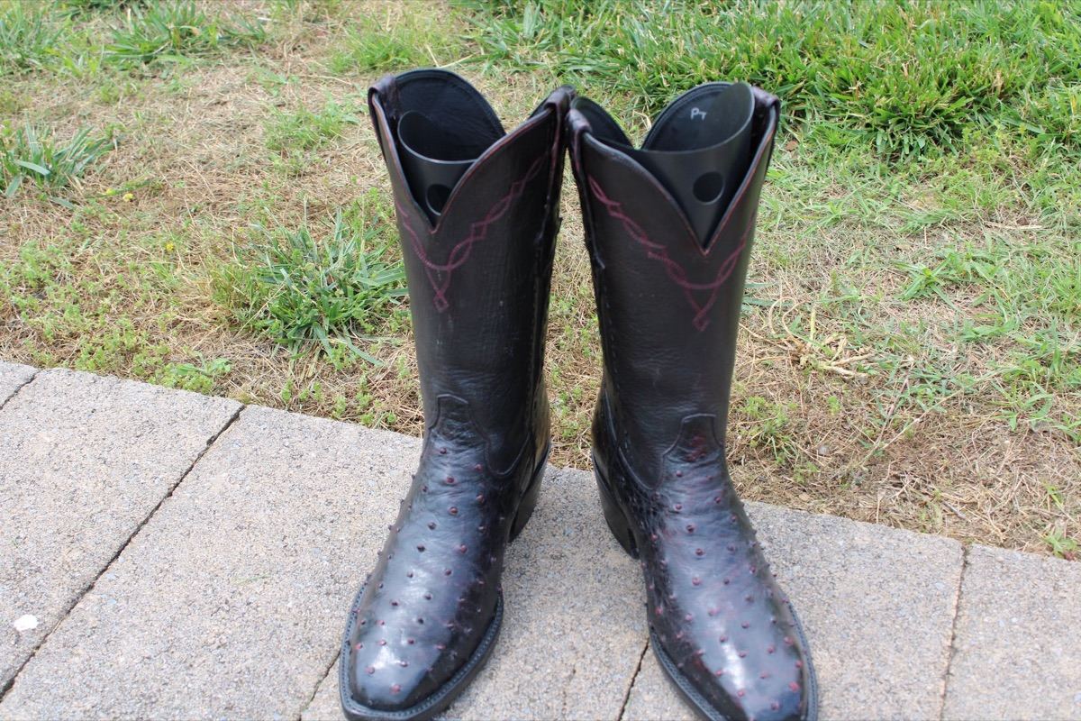 14 Stallion Black Cherry FQ Ostrich 9.5 D