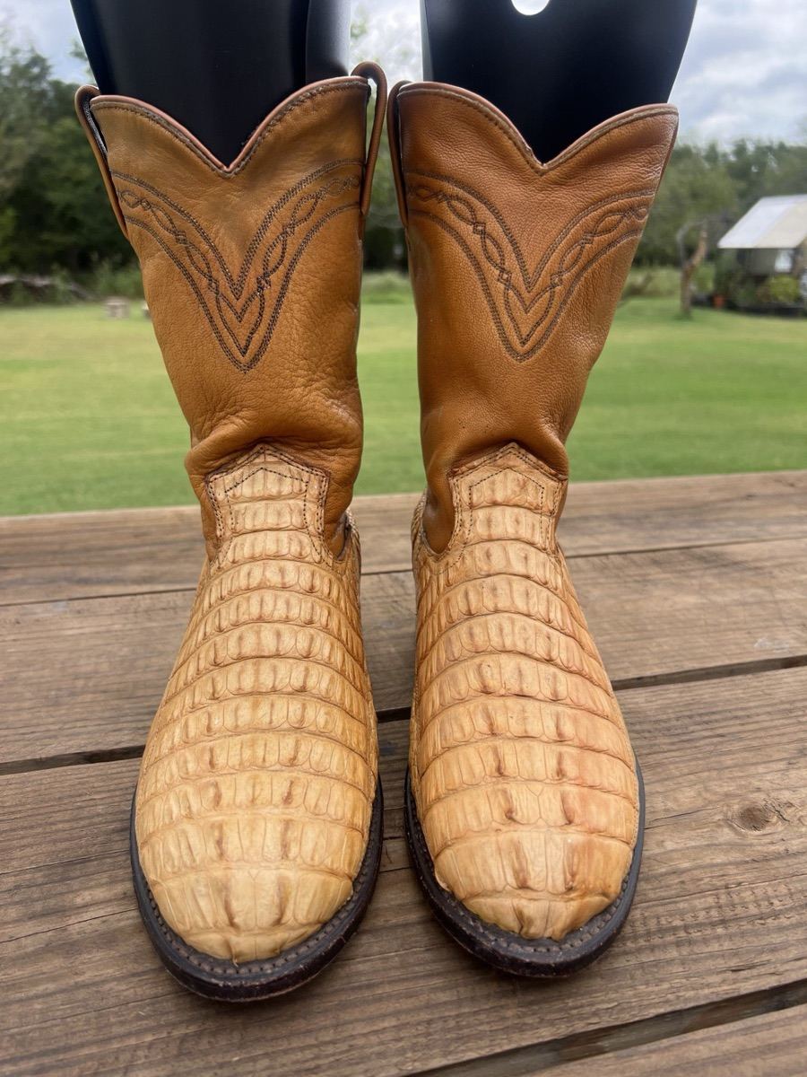 Alligator Tail