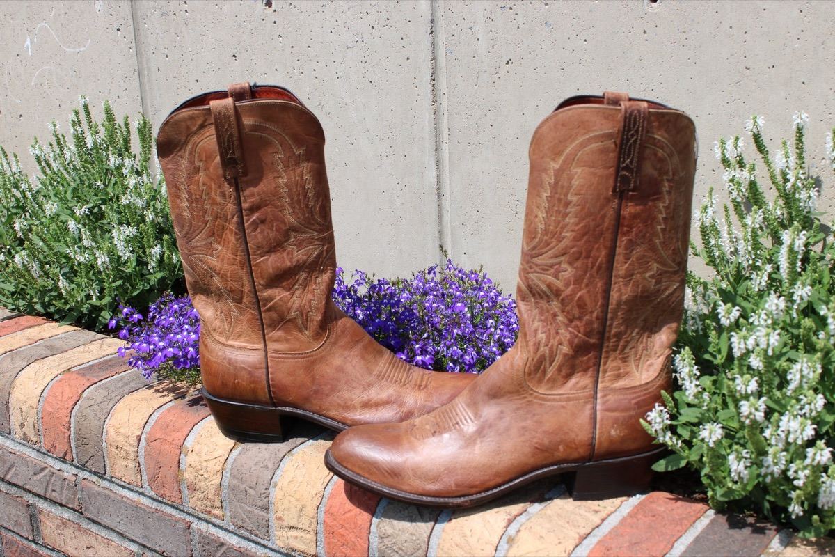 Lucchese 1883 Goat 12 D