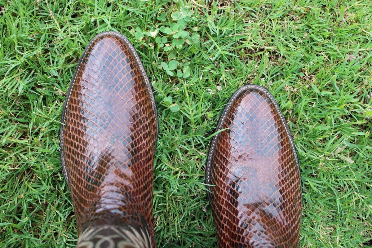 Panhandle Slim Chocolate Anaconda 9 D