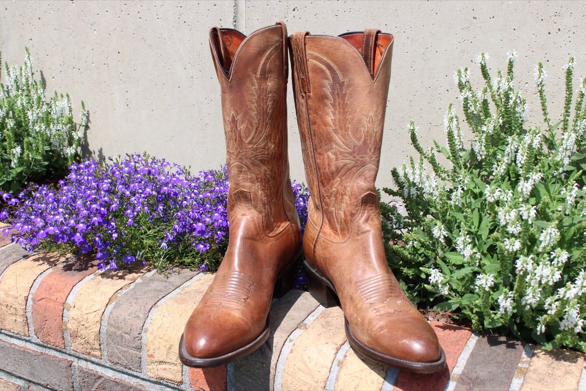Lucchese 1883 Goat 12 D